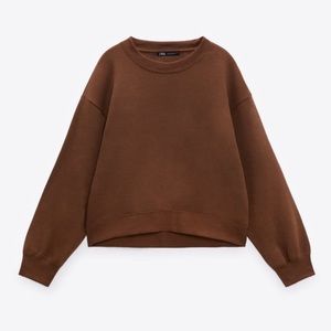 Zara Brown Crew Neck